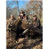 Image 1 : CHOCTAW LODGE: 3-Day Choctaw McNab for One Hunter/One NH in OK - Includes Trophies & More