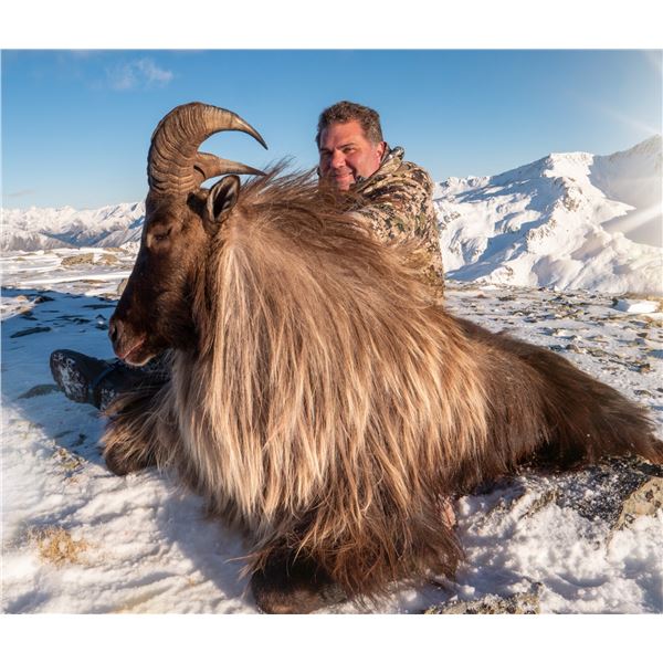 VENATOR: 5-Day Tahr and Chamois Hunt for Two Hunters in New Zealand - Includes Trophy Fees