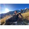 Image 2 : VENATOR: 5-Day Tahr and Chamois Hunt for Two Hunters in New Zealand - Includes Trophy Fees