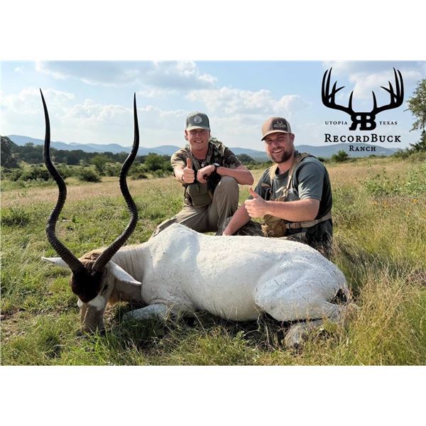 RECORDBUCK: 3-Day Trophy Addax Hunt for One Hunter/One NH in Texas - Includes Trophy Fee