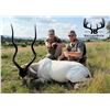 Image 1 : RECORDBUCK: 3-Day Trophy Addax Hunt for One Hunter/One NH in Texas - Includes Trophy Fee