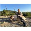 Image 3 : RECORDBUCK: 3-Day Trophy Addax Hunt for One Hunter/One NH in Texas - Includes Trophy Fee