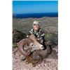 Image 4 : MEXICO HUNTS: 8-Day Weemsi Desert Bighorn Sheep Hunt for 1 Hunter/1 NH in MX - Includes Trophy