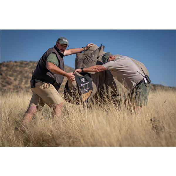 BLASER / ERORA RHINO: Exclusive Namibian Rhino Conservation Package w/ Custom Blaser R8 Rifle