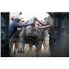 Image 3 : BLASER / ERORA RHINO: Exclusive Namibian Rhino Conservation Package w/ Custom Blaser R8 Rifle