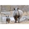 Image 6 : BLASER / ERORA RHINO: Exclusive Namibian Rhino Conservation Package w/ Custom Blaser R8 Rifle