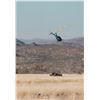 Image 9 : BLASER / ERORA RHINO: Exclusive Namibian Rhino Conservation Package w/ Custom Blaser R8 Rifle