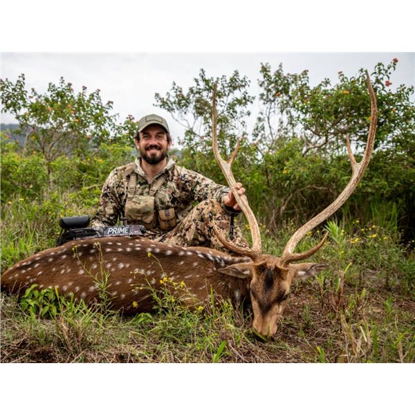 FIELD ETHOS: 2-Day Axis Deer Hunt for One Hunter/One NH in Hawaii - Includes Trophy Fees & More!