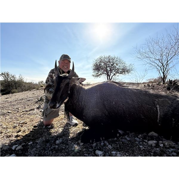 OX RANCH: Ox Ranch, Steve Hornady, Larry Weishuhn and You!