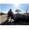 Image 1 : OX RANCH: Ox Ranch, Steve Hornady, Larry Weishuhn and You!