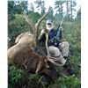 Image 1 : MESCALERO: 5-Day Management Bull Elk Hunt for 1 or 2 Hunters in NM - Includes Trophies/Taxidermy