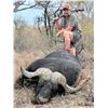 Image 1 : (XTENDED YEAR) INKULU: 12-Day Buffalo Hunt for 2 Hunters/2 NH in S. Africa - Includes Trophy Fees