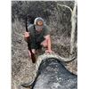 Image 2 : (XTENDED YEAR) INKULU: 12-Day Buffalo Hunt for 2 Hunters/2 NH in S. Africa - Includes Trophy Fees