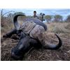 Image 6 : (XTENDED YEAR) INKULU: 12-Day Buffalo Hunt for 2 Hunters/2 NH in S. Africa - Includes Trophy Fees