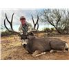 Image 1 : WADE LEMON: 5-Day Mule & Coues Deer Combo Hunt for One Hunter in Mexico - Includes Trophy Fees