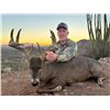Image 2 : WADE LEMON: 5-Day Mule & Coues Deer Combo Hunt for One Hunter in Mexico - Includes Trophy Fees