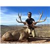 Image 4 : WADE LEMON: 5-Day Mule & Coues Deer Combo Hunt for One Hunter in Mexico - Includes Trophy Fees