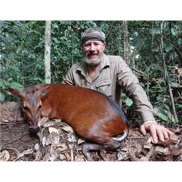 CONGO & GABON ADV: 10-Day/11-Night Duiker Hunt for One Hunter and One Non-Hunter in Gabon