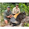 Image 3 : CONGO & GABON ADV: 10-Day/11-Night Duiker Hunt for One Hunter and One Non-Hunter in Gabon