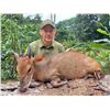 Image 5 : CONGO & GABON ADV: 10-Day/11-Night Duiker Hunt for One Hunter and One Non-Hunter in Gabon
