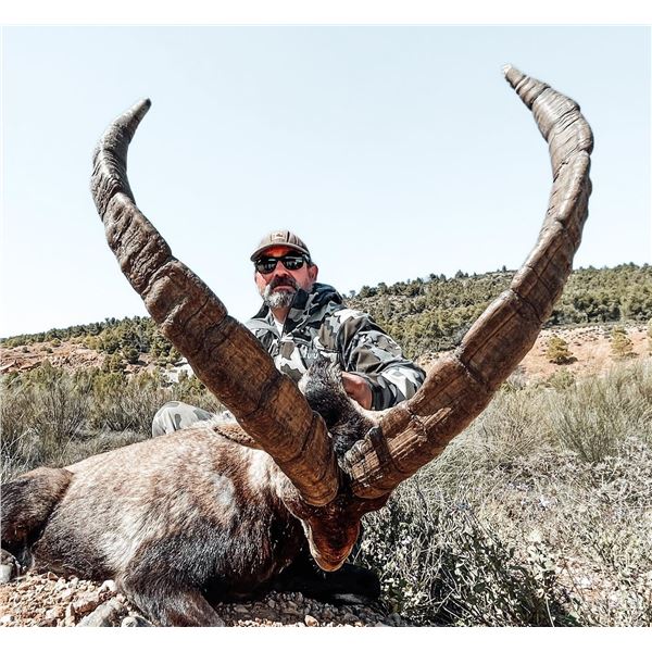 4ACES: 3-Day Southeastern Ibex Hunt for One Hunter in Spain - Includes Trophy Fee