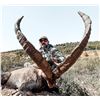 Image 1 : 4ACES: 3-Day Southeastern Ibex Hunt for One Hunter in Spain - Includes Trophy Fee