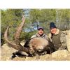 Image 2 : 4ACES: 3-Day Southeastern Ibex Hunt for One Hunter in Spain - Includes Trophy Fee