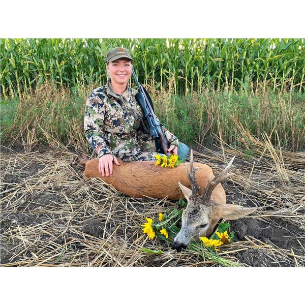 WILD INSTINCT: 3-Day Roe Deer & Wild Boar Hunt for 2 Hunters/2 NH in Hungary - Includes Trophy Fees