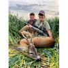 Image 3 : WILD INSTINCT: 3-Day Roe Deer & Wild Boar Hunt for 2 Hunters/2 NH in Hungary - Includes Trophy Fees