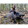 Image 4 : WILD INSTINCT: 3-Day Roe Deer & Wild Boar Hunt for 2 Hunters/2 NH in Hungary - Includes Trophy Fees