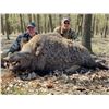 Image 5 : WILD INSTINCT: 3-Day Roe Deer & Wild Boar Hunt for 2 Hunters/2 NH in Hungary - Includes Trophy Fees