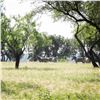 Image 2 : RANGER RIDGE: 4-Day Luxury Escape and Hog Hunt for Four at Ranger Ridge - Includes Trophy Credit