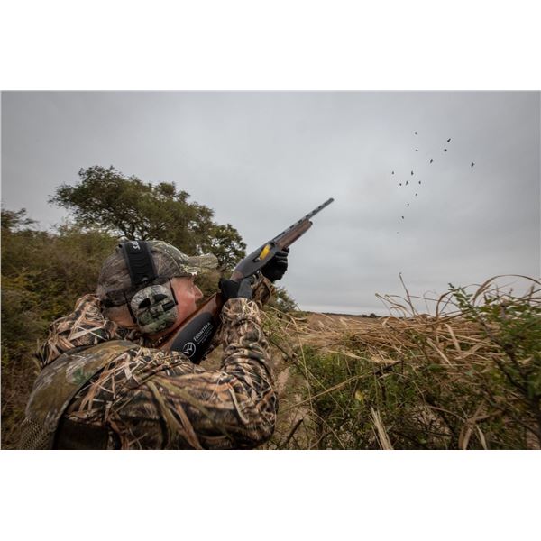 FRONTERA: 5-Day/4-Night High-Volume Dove Hunt for Sixteen (16) Hunters in Argentina