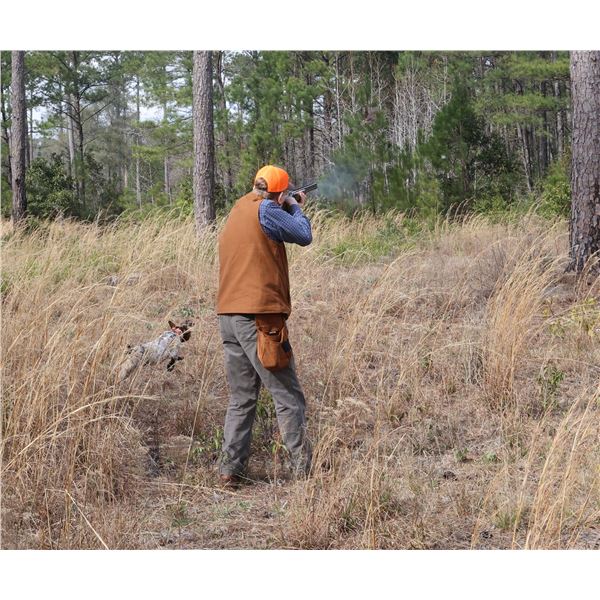 DORCHESTER PRESERVE: 3-Day Quail Hunt for 2 Hunters/1 NH at Dorchester Shooting Preserve in GA