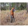 Image 1 : DORCHESTER PRESERVE: 3-Day Quail Hunt for 2 Hunters/1 NH at Dorchester Shooting Preserve in GA