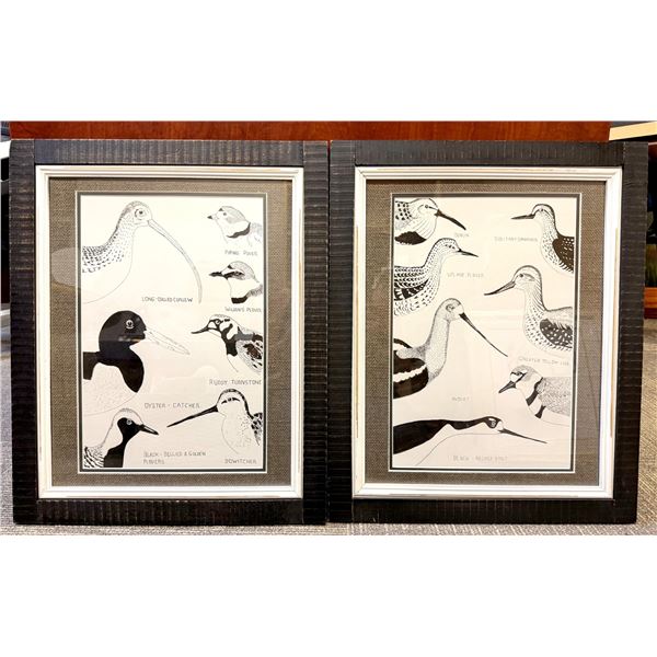 FRIEND OF DSCF: Pen & Ink Framed Bird Artwork