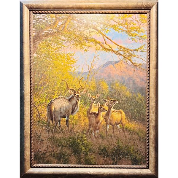 MICHAEL SIEVE: "Spiral Horns-Kudu" - Original Framed Artwork