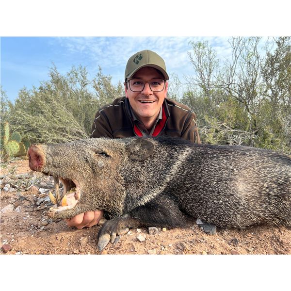JAY LEYENDECKER: 2-Day Javelina Hunt for Two Hunters in Laredo, Texas - Includes Trophy Fees