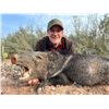 Image 1 : JAY LEYENDECKER: 2-Day Javelina Hunt for Two Hunters in Laredo, Texas - Includes Trophy Fees