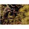 Image 2 : STEPHEN & YVONNE MILLER: Mauser M18 Waldjagd Savanna in .270 Win