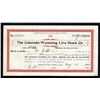Image 1 : CO. Colorado-Wyoming Live Stock Co. 1906 Partially Issued Stock Certificate.