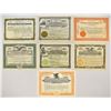 Image 1 : Consumer and Industrial Collection of Issued Stock Certificates, 1907 to 1930