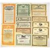 Image 3 : Industrial, Chemical, Steel, and Holding Co. Stock and Bond Assortment, Various States, 1900s to 194