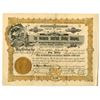 Image 1 : AZ. Rochester Goldfield Mining Co., 1905, I/U Stock Certificate.