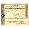 Image 1 : Colorado Territory. Mount Alpine Gold Co. of Colorado, 1865, I/U Stock Certificate.