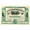 Image 1 : CO. Amie Consolidated Mining Company, 1880 I/U Stock Certificate
