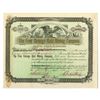 Image 1 : CO. Free Coinage Gold Mining Co., 1892, I/C Stock Certificate.