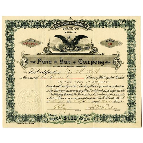 MT. Penn Yan Co. 1895 I/U Stock Certificate
