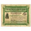 Image 1 : AZ. Electric Signagraph and Semaphore Co., 1907, Issued Stock Certificate.