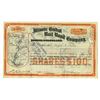 Image 1 : IL. Illinois Central Rail Road Co., 1899, I/C Stock Certificate Issued to Joseph N. Field.